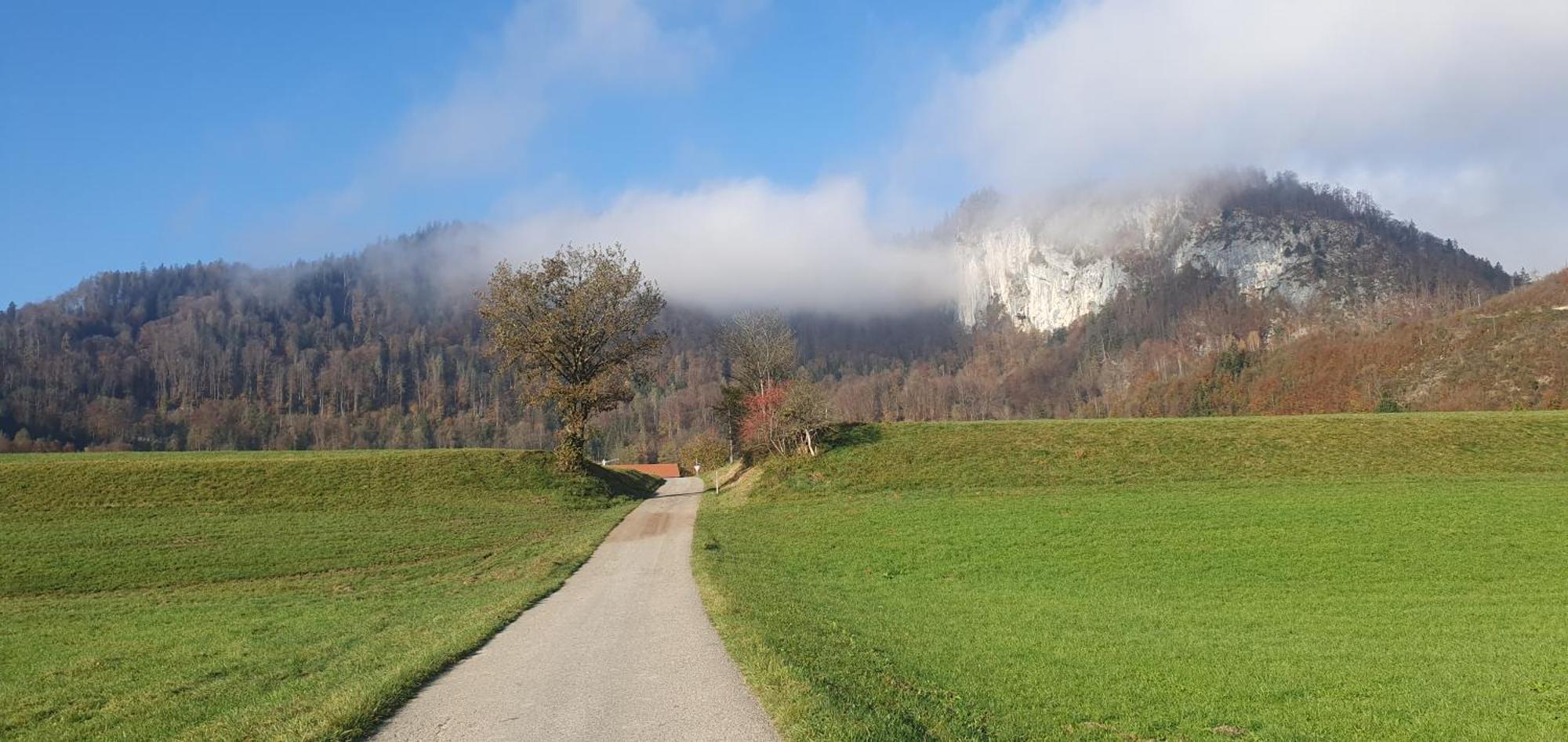 Kaiserpanorama